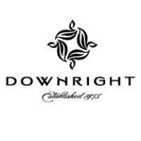 Downright LTD Logo