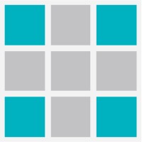 Physical Therapy NOW Franchise Logo