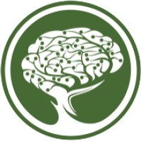 Mindsede Logo