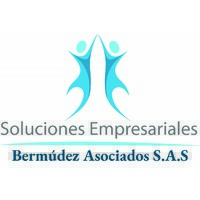 Soluciones Empresariales BA Logo
