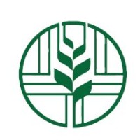 Walsh Accounting Solutions Logo
