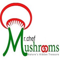 Mr Chef Group Logo