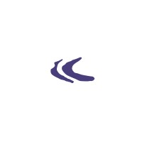 Birkeland Current Logo