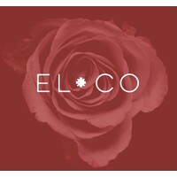 Elanae Consulting, LLC Logo