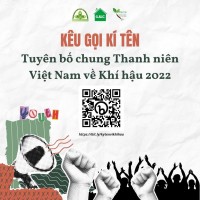 YNet Việt Nam Logo