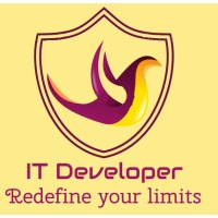 IT Developer Logo