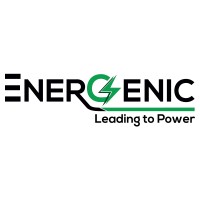 Energenic Batteries Logo
