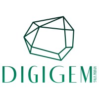 Digigem Marketing Logo