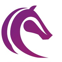 Women In Racing Logo