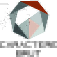 CARACTERE BRUT Logo