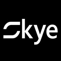Skye Intelligence Technology Logo