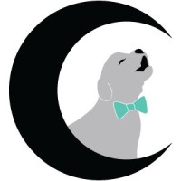 Crescent Moon IT Logo