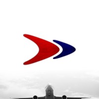 Dana Air Logo
