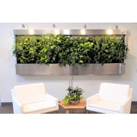 Pro Plant Care Logo