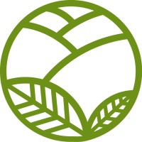 Radiant Logo