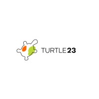 Turtle23 Logo