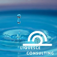 Liquesce Consulting, LLC Logo