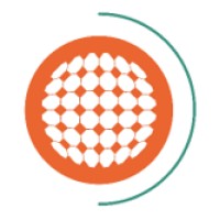 New Energy Solar Manager Logo