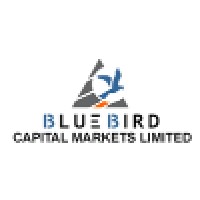Blue Bird Capital Markets Limited Logo