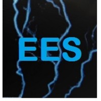 Energy Efficiency Solutions, LLC Logo