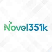 Novel351k Logo