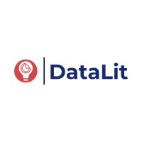 DataLit Logo
