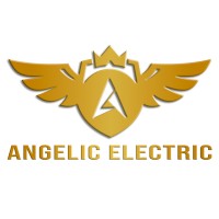 ANGELIC ELECTRIC PRIVATE LIMITED Logo