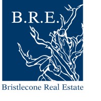 Bristlecone Real Estate Logo