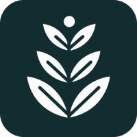 Spring Marketing Co. Logo