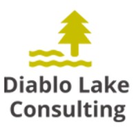 Diablo Lake Consulting Logo