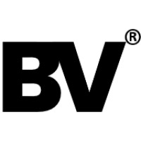 BRINGVAS Logo