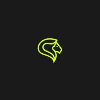 csen security group (CSG) [] (CCSG) Logo