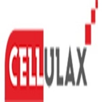 CELLULAX SOFTWARE SERVICES PTE LIMITED Logo