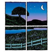 Dripping Springs Realty Logo