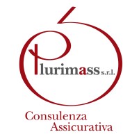 Plurimass SRL Logo