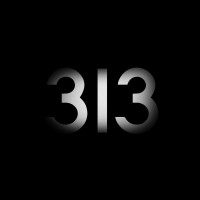 313 Features Logo