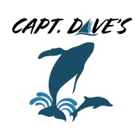 Captain Daves Dolphin and Whale Watching Safari Logo