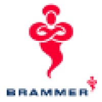 Brammer Group Logo