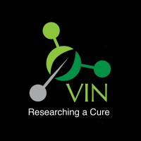 Visionary Investigators Network Logo