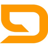 Skynine Logo
