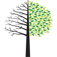 Second Half Strategies Logo