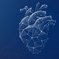 x-cardiac GmbH Logo