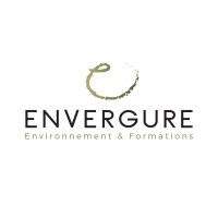 DEVENIR CONSULTANT-E by ENVERGURE Logo