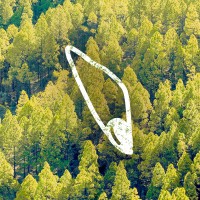 DroneSeed Logo