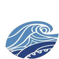 Riverview Data and Consulting Logo