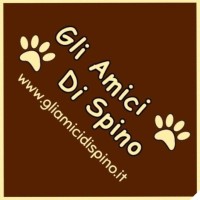 Gli Amici di Spino OdV - Associazione di Volontariato Logo