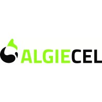 Algiecel Logo