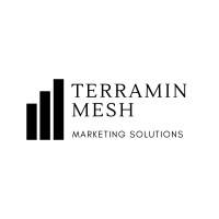 Terramin Mesh Marketing Logo