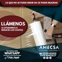 Amecsa Logo