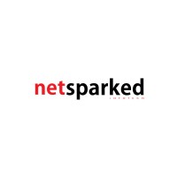 NetSparked Infotech Logo